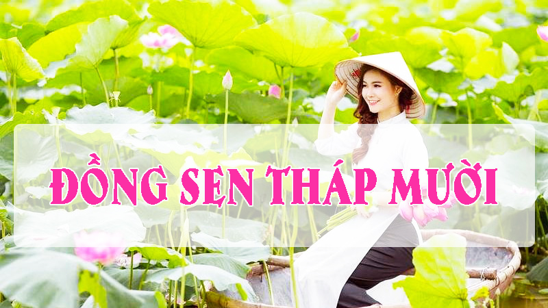 Khu Du Lịch Đồng Sen Tháp Mười